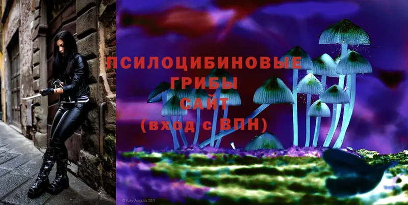 Галлюциногенные грибы Magic Shrooms  Бронницы 